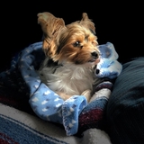 Entry image for Maisy Grace