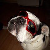 Entry image for Jaxxon