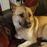 Entry image for DeeDee Russell