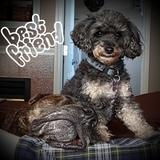 Entry image for Big Ted and Roxy