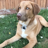 Entry image for Eddy