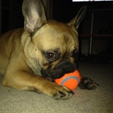 Entry image for Tucker