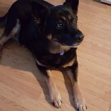 Entry image for K.C.