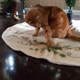 Entry image for Lucy