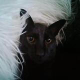 Entry image for Miles