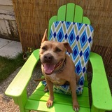 Entry image for Lizzy 