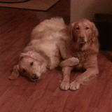 Entry image for Molly & Dillan