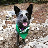 Entry image for Kieta