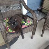 Entry image for Lucy