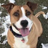 Entry image for Lucy