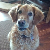 Entry image for Sydney 