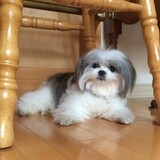 Entry image for Coco