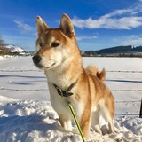 Entry image for Kita