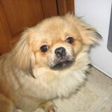 Entry image for Tyree