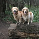 Entry image for Nugget and Kenzie