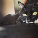 Entry image for Nevaeh 