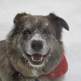 Entry image for Blue