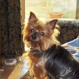 Entry image for Maddie