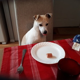 Entry image for Toby