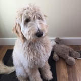 Entry image for Henry