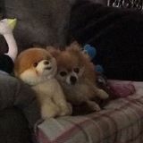 Entry image for Rypien