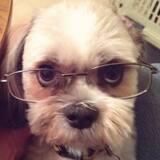 Entry image for Micah Bear