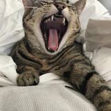 Entry image for Katie