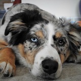 Entry image for Copper