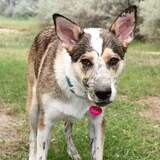 Entry image for Bailey 