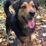 Entry image for Elizabeth Lawrence 