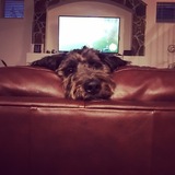 Entry image for Mable