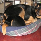 Entry image for Klio and Loki