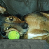 Entry image for Klio