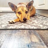 Entry image for Nina