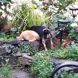 Entry image for Riot and Jerry