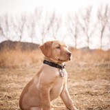 Entry image for Ellie