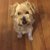 Entry image for Ding Ding