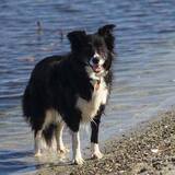 Entry image for Spritz