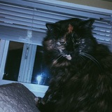 Entry image for Katie