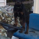 Entry image for Chevy