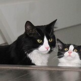 Entry image for Thomas & Emelia