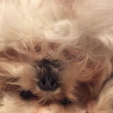 Entry image for Penny