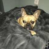 Entry image for Abby