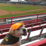 Entry image for Ami Rose