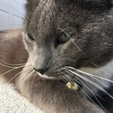 Entry image for Black