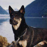 Entry image for Oakley