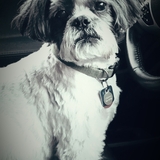 Entry image for Chopper