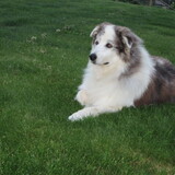 Entry image for Susie