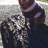 Entry image for Toffee