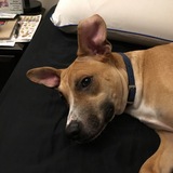 Entry image for Emilio